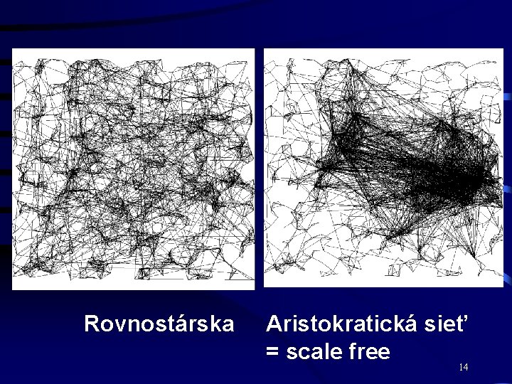 Rovnostárska Aristokratická sieť = scale free 14 