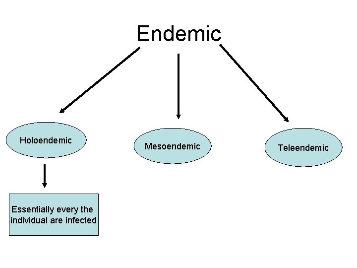 Endemic Holoendemic Essentially every the individual are infected Mesoendemic Teleendemic 