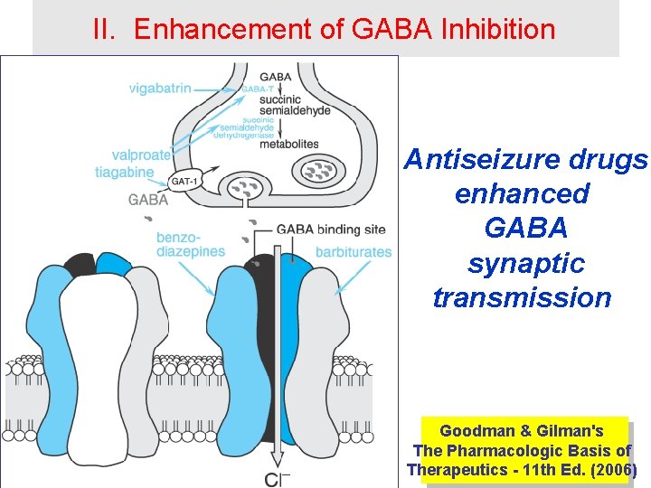 II. Enhancement of GABA Inhibition Antiseizure drugs enhanced GABA synaptic transmission Goodman & Gilman's