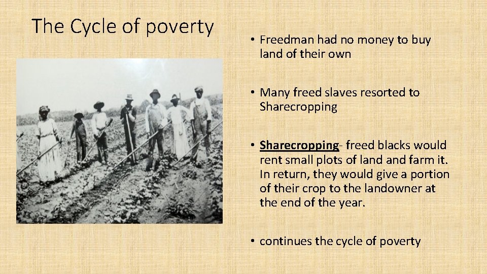 The Cycle of poverty • Freedman had no money to buy land of their