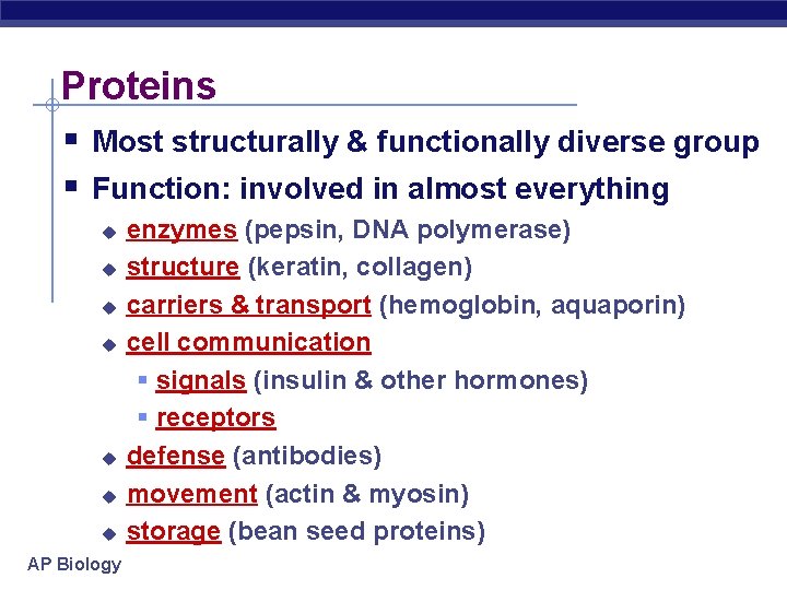 Proteins Most structurally & functionally diverse group Function: involved in almost everything u u