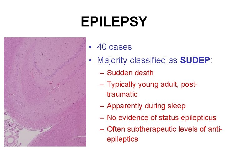 EPILEPSY • 40 cases • Majority classified as SUDEP: – Sudden death – Typically