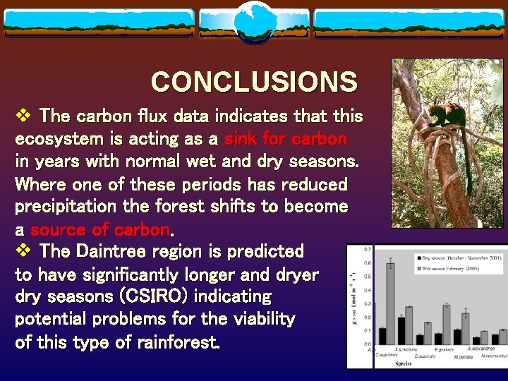 CONCLUSIONS v The carbon flux data indicates that this ecosystem is acting as a CONCLUSIONS v The carbon flux data indicates that this ecosystem is acting as a