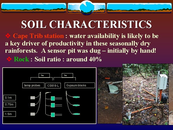 SOIL CHARACTERISTICS v Cape Trib station : water availability is likely to be a SOIL CHARACTERISTICS v Cape Trib station : water availability is likely to be a