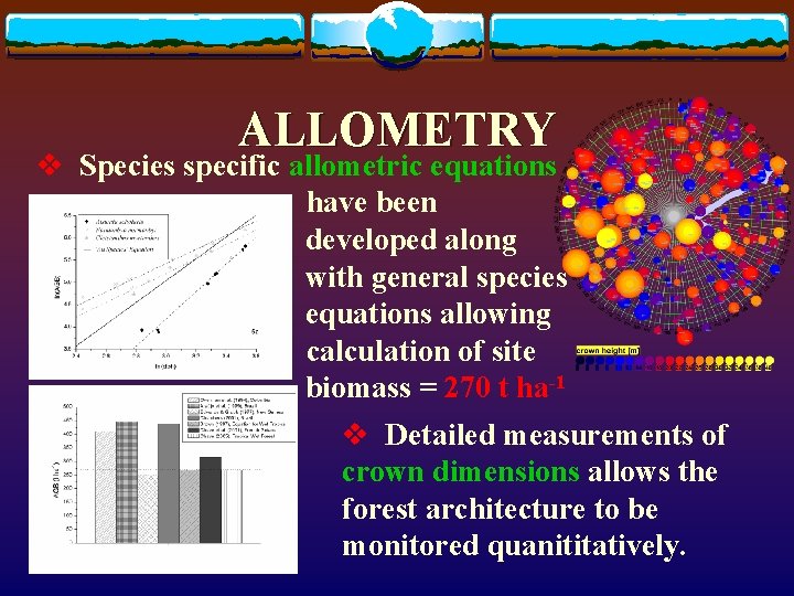 ALLOMETRY v Species specific allometric equations have been developed along with general species equations ALLOMETRY v Species specific allometric equations have been developed along with general species equations