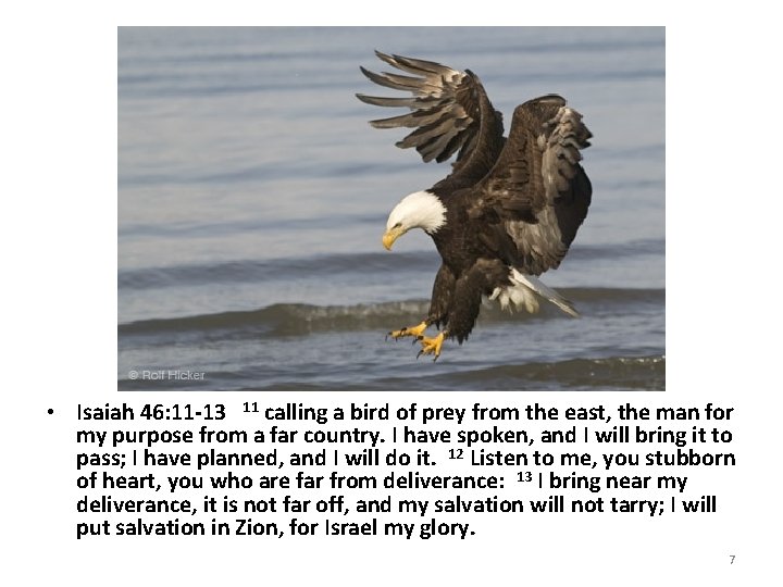  • Isaiah 46: 11 -13 11 calling a bird of prey from the