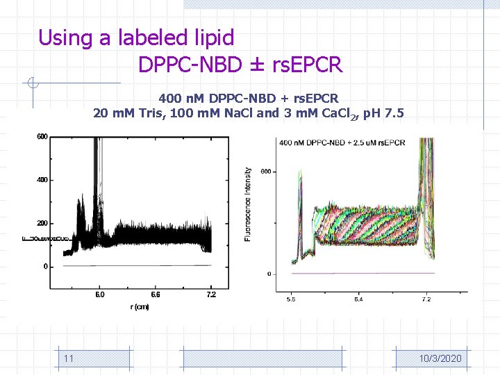 Using a labeled lipid DPPC-NBD ± rs. EPCR 400 n. M DPPC-NBD + rs.