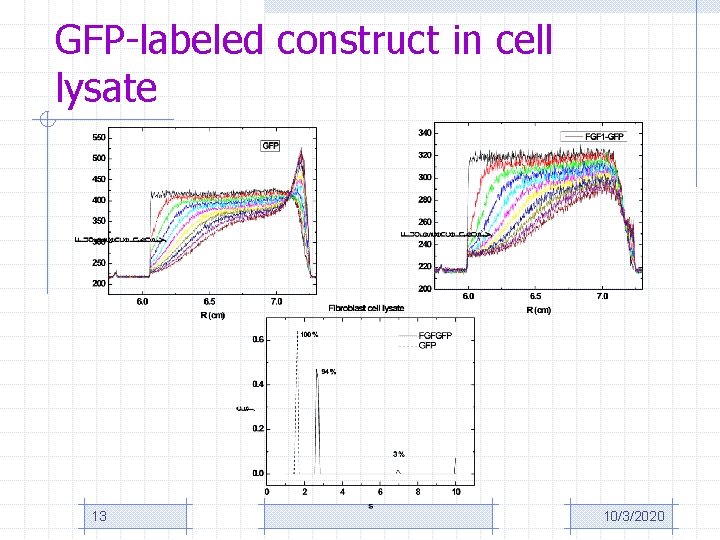 GFP-labeled construct in cell lysate 13 10/3/2020 