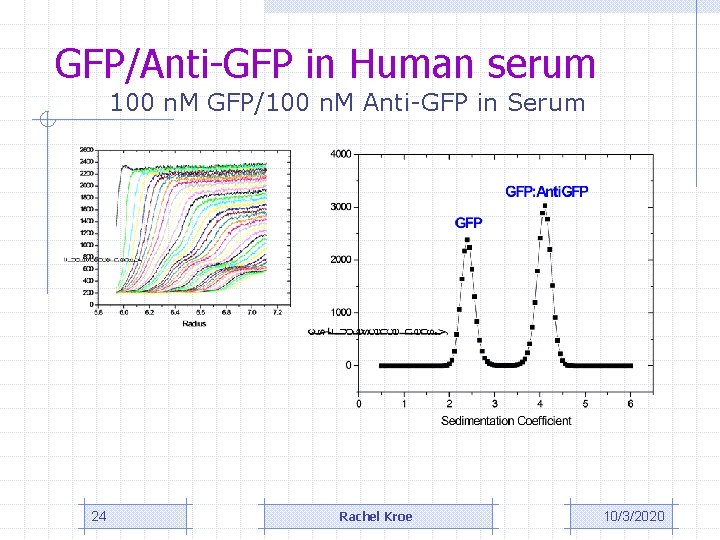 GFP/Anti-GFP in Human serum 100 n. M GFP/100 n. M Anti-GFP in Serum 24