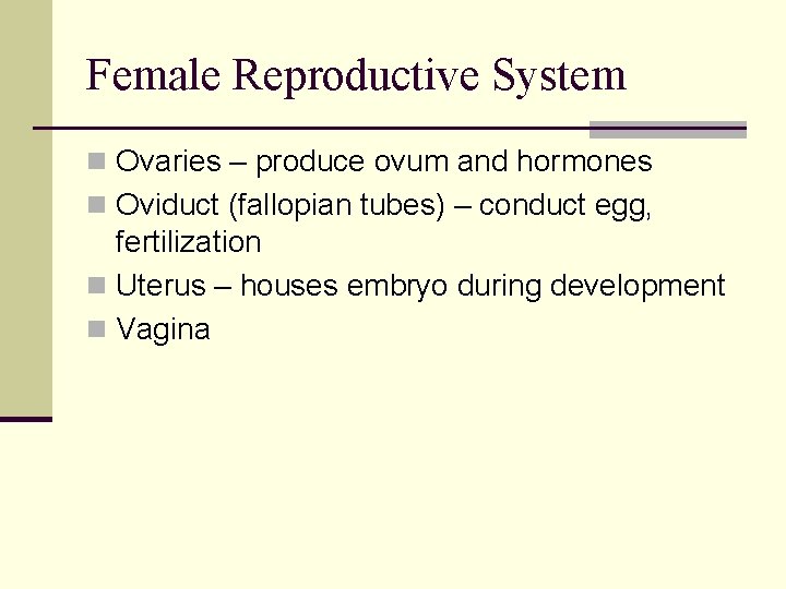Female Reproductive System n Ovaries – produce ovum and hormones n Oviduct (fallopian tubes) Female Reproductive System n Ovaries – produce ovum and hormones n Oviduct (fallopian tubes)