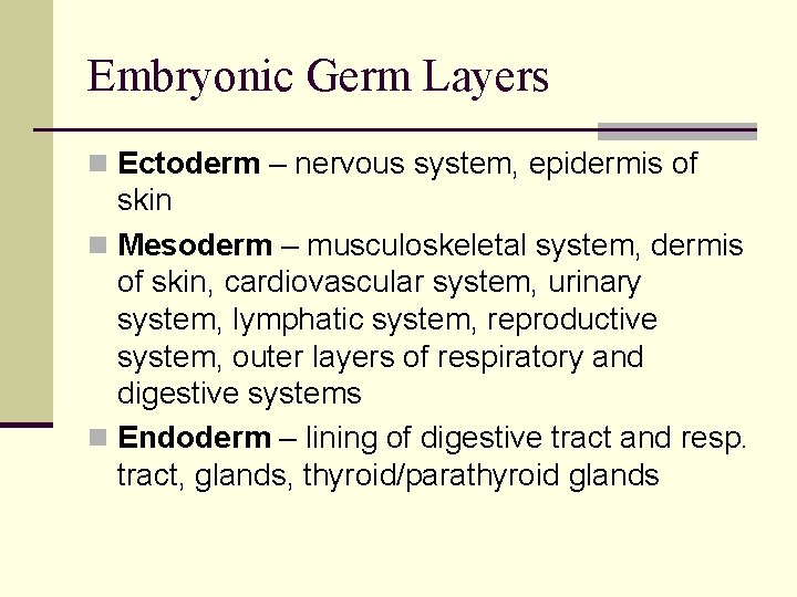 Embryonic Germ Layers n Ectoderm – nervous system, epidermis of skin n Mesoderm – Embryonic Germ Layers n Ectoderm – nervous system, epidermis of skin n Mesoderm –