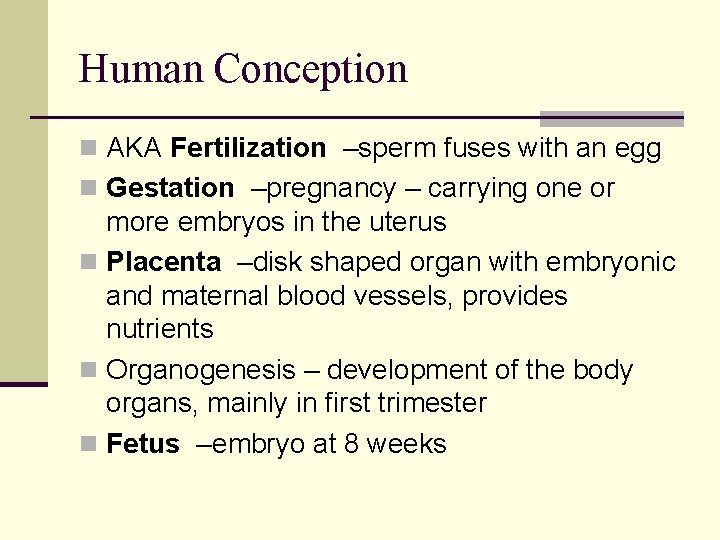 Human Conception n AKA Fertilization –sperm fuses with an egg n Gestation –pregnancy – Human Conception n AKA Fertilization –sperm fuses with an egg n Gestation –pregnancy –