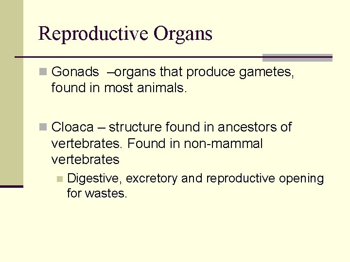 Reproductive Organs n Gonads –organs that produce gametes, found in most animals. n Cloaca Reproductive Organs n Gonads –organs that produce gametes, found in most animals. n Cloaca