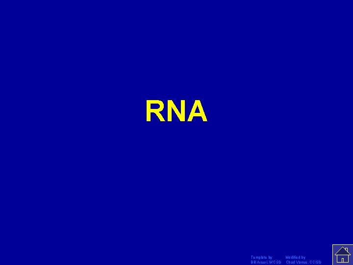 RNA Template by Modified by Bill Arcuri, WCSD Chad Vance, CCISD 