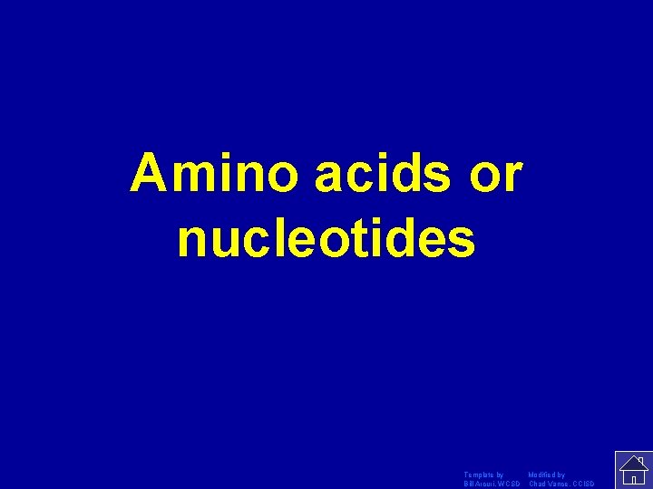 Amino acids or nucleotides Template by Modified by Bill Arcuri, WCSD Chad Vance, CCISD