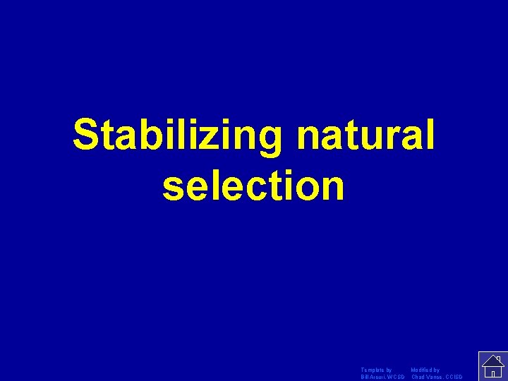 Stabilizing natural selection Template by Modified by Bill Arcuri, WCSD Chad Vance, CCISD 