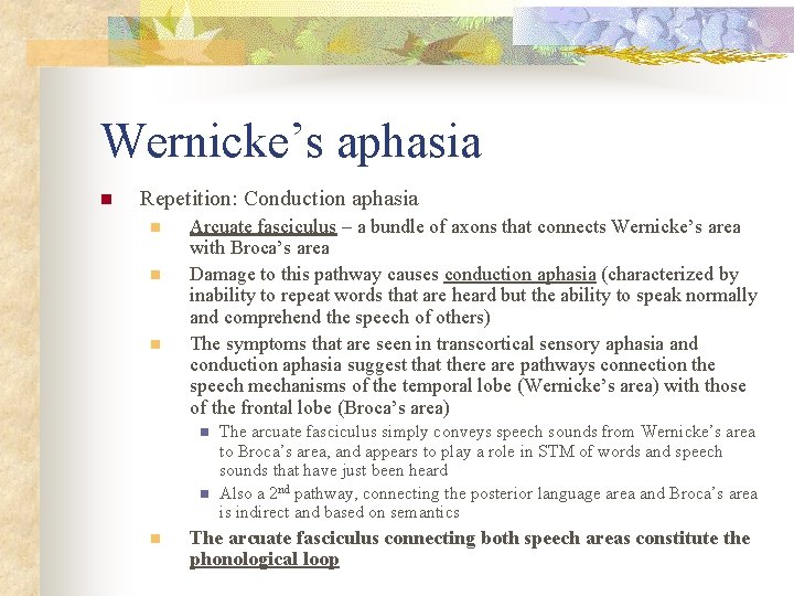 Wernicke’s aphasia n Repetition: Conduction aphasia n n n Arcuate fasciculus – a bundle