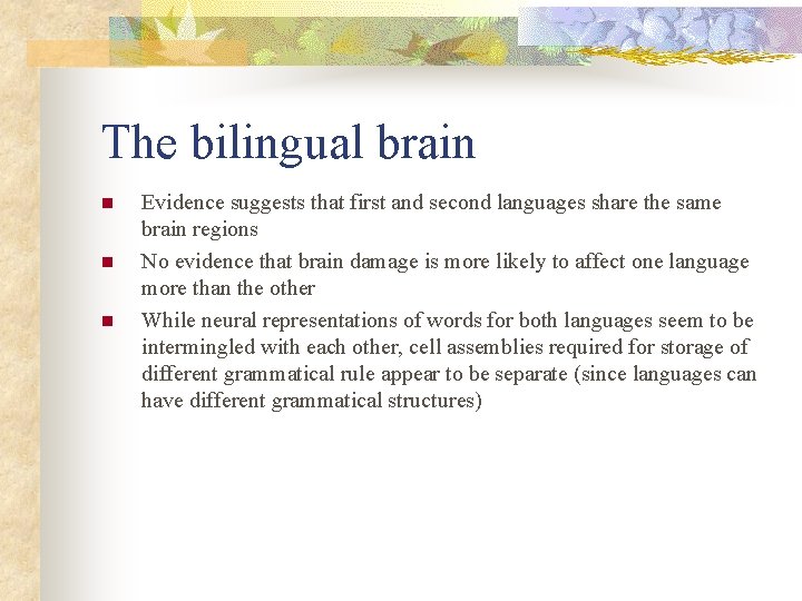 The bilingual brain n Evidence suggests that first and second languages share the same