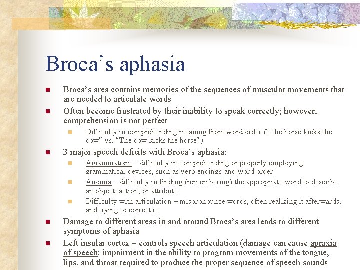 Broca’s aphasia n n Broca’s area contains memories of the sequences of muscular movements