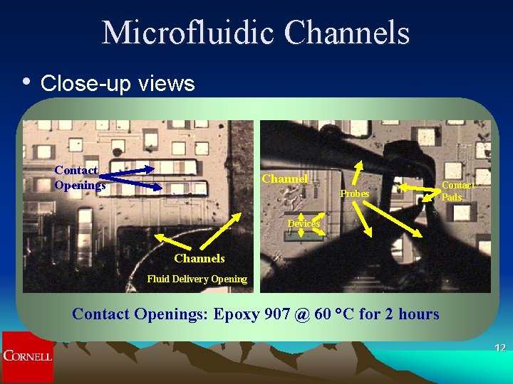 Microfluidic Channels • Close-up views Contact Openings Channel Probes Contact Pads Devices Channels Fluid Microfluidic Channels • Close-up views Contact Openings Channel Probes Contact Pads Devices Channels Fluid