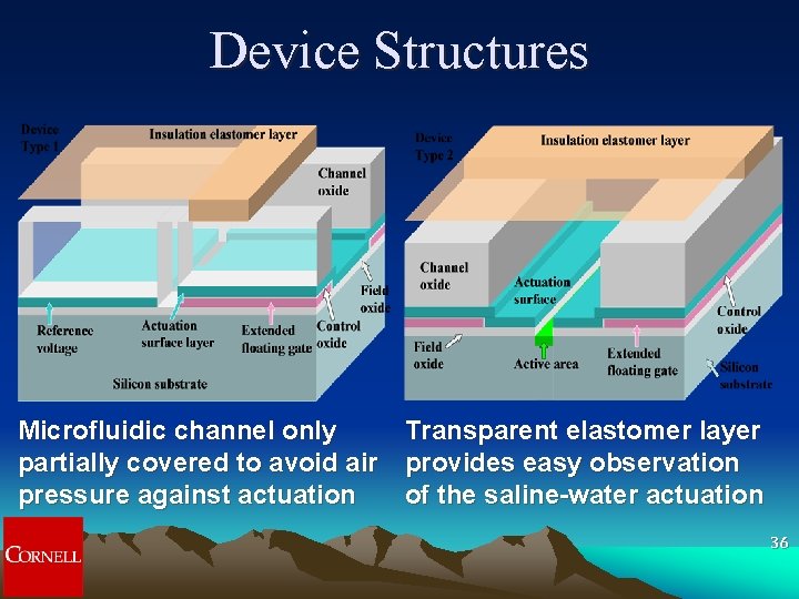 Device Structures Microfluidic channel only Transparent elastomer layer partially covered to avoid air provides Device Structures Microfluidic channel only Transparent elastomer layer partially covered to avoid air provides