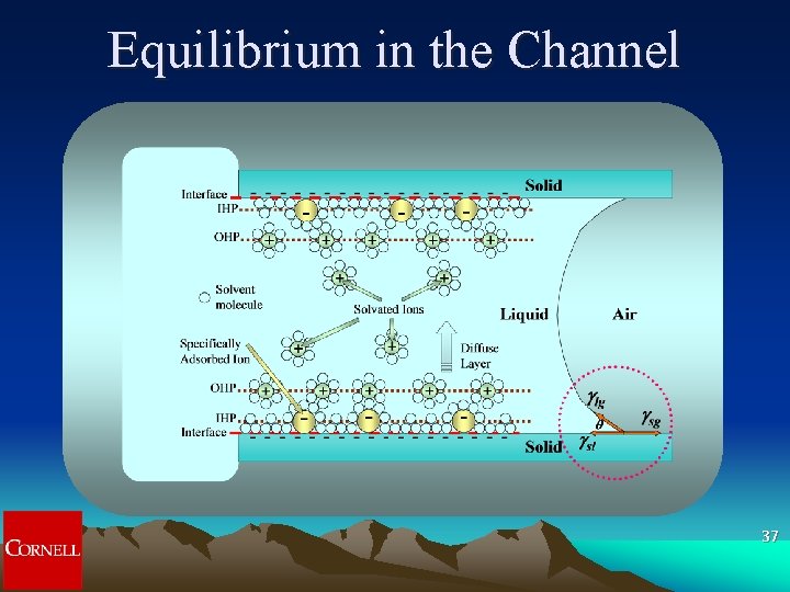 Equilibrium in the Channel 37 Equilibrium in the Channel 37