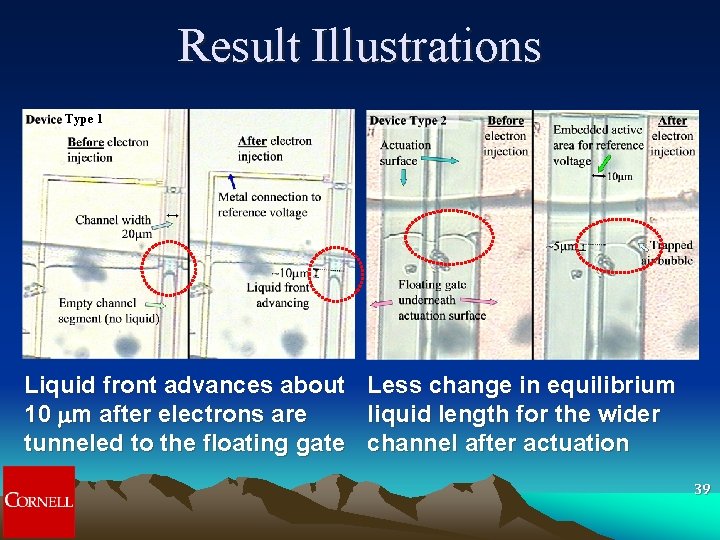 Result Illustrations Type 1 Liquid front advances about Less change in equilibrium 10 mm Result Illustrations Type 1 Liquid front advances about Less change in equilibrium 10 mm