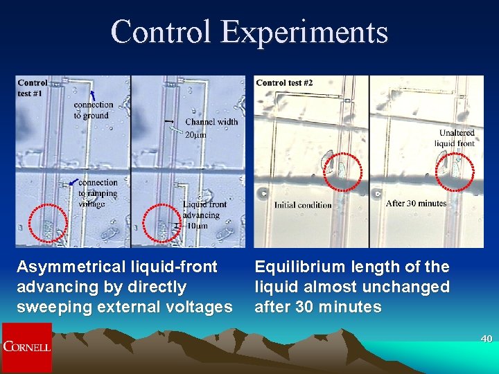 Control Experiments Asymmetrical liquid-front advancing by directly sweeping external voltages Equilibrium length of the Control Experiments Asymmetrical liquid-front advancing by directly sweeping external voltages Equilibrium length of the