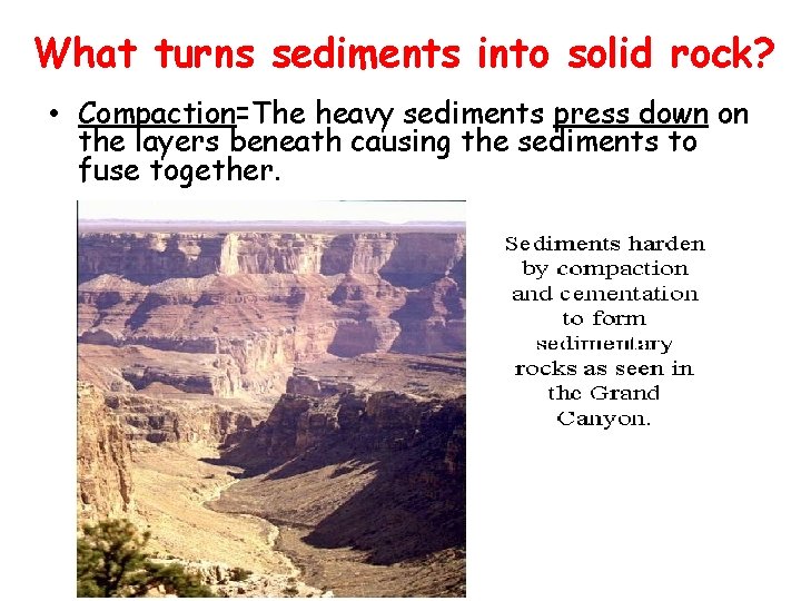 What turns sediments into solid rock? • Compaction=The heavy sediments press down on the What turns sediments into solid rock? • Compaction=The heavy sediments press down on the
