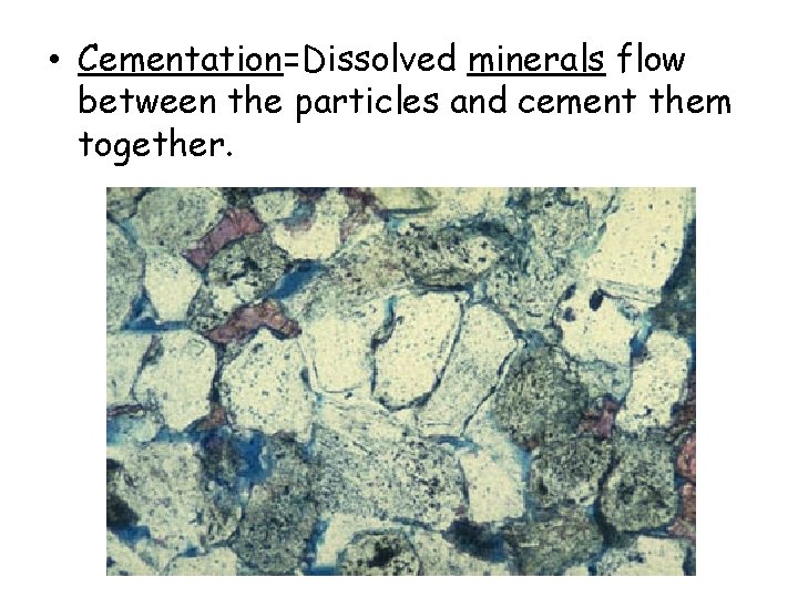 • Cementation=Dissolved minerals flow between the particles and cement them together. • Cementation=Dissolved minerals flow between the particles and cement them together.