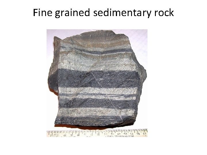 Fine grained sedimentary rock Fine grained sedimentary rock