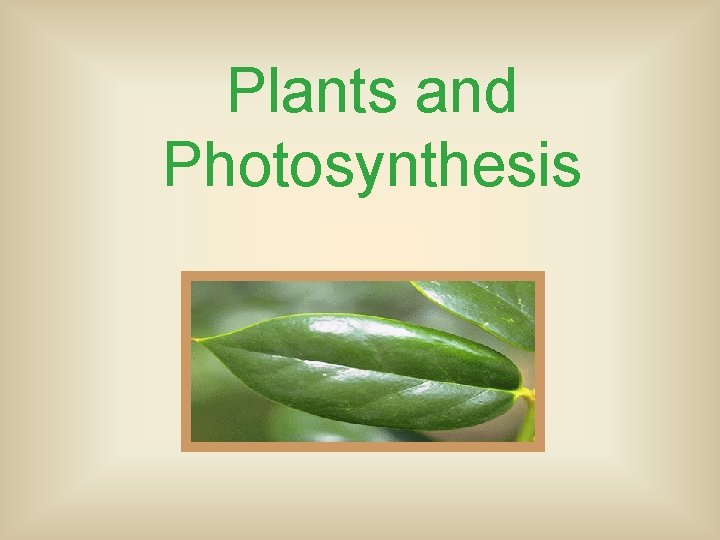 Plants and Photosynthesis 