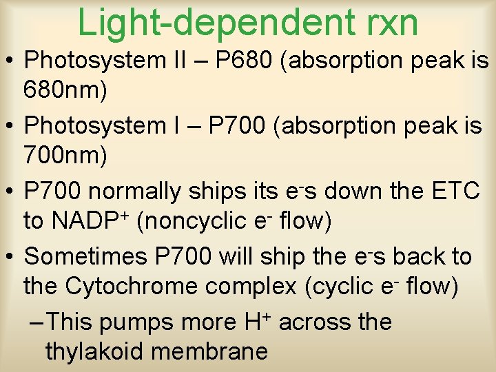 Light-dependent rxn • Photosystem II – P 680 (absorption peak is 680 nm) •