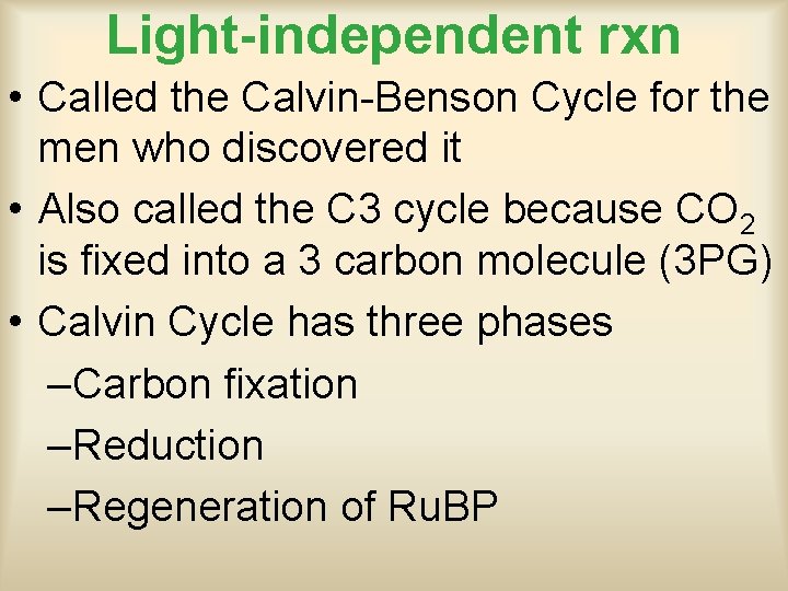 Light-independent rxn • Called the Calvin-Benson Cycle for the men who discovered it •