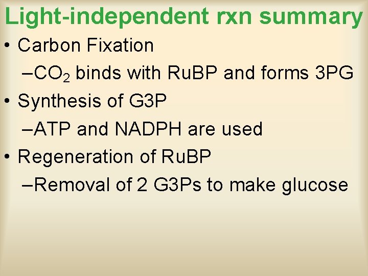 Light-independent rxn summary • Carbon Fixation –CO 2 binds with Ru. BP and forms