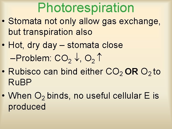 Photorespiration • Stomata not only allow gas exchange, but transpiration also • Hot, dry