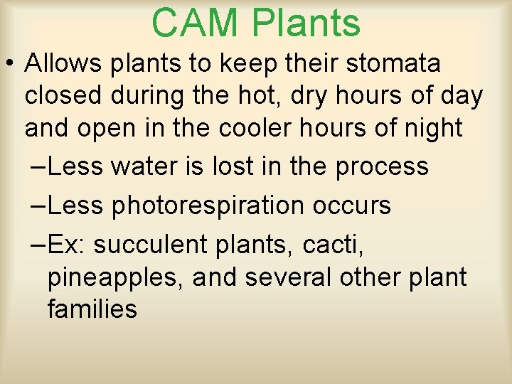 CAM Plants • Allows plants to keep their stomata closed during the hot, dry