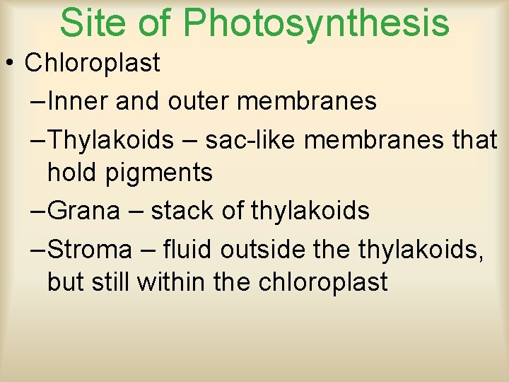 Site of Photosynthesis • Chloroplast –Inner and outer membranes –Thylakoids – sac-like membranes that