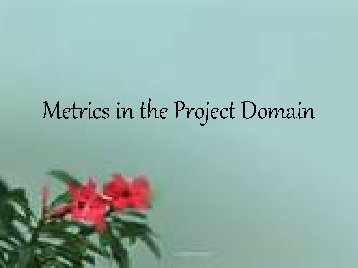 Metrics in the Project Domain 