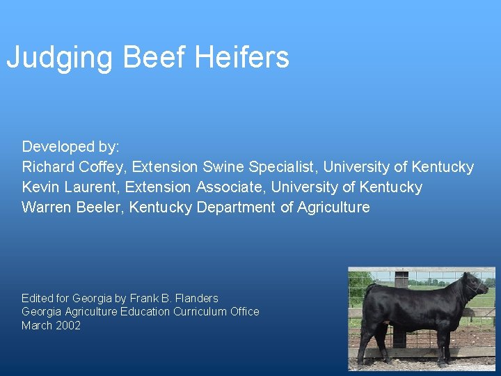 Judging Beef Heifers Developed by: Richard Coffey, Extension Swine Specialist, University of Kentucky Kevin