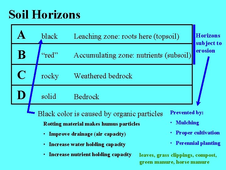 Soil Horizons A black Leaching zone: roots here (topsoil) B “red” Accumulating zone: nutrients