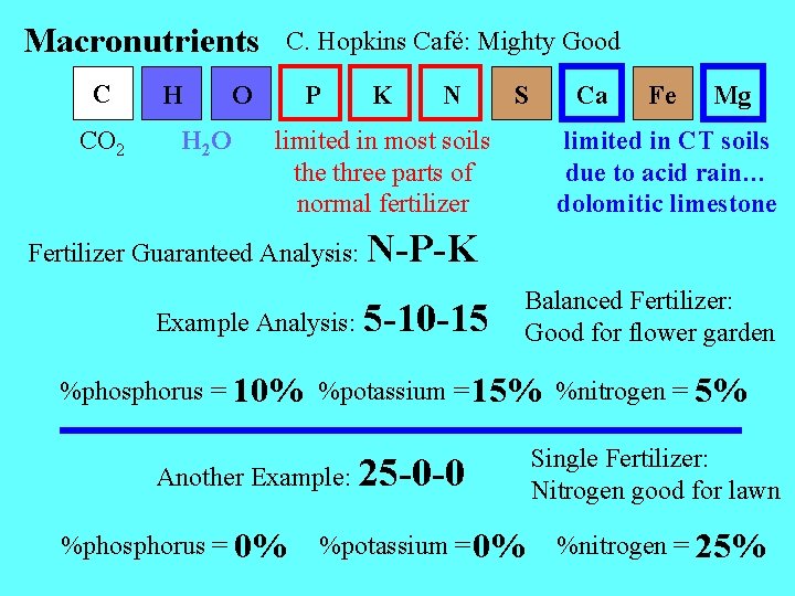 Macronutrients C CO 2 H H 2 O C. Hopkins Café: Mighty Good O