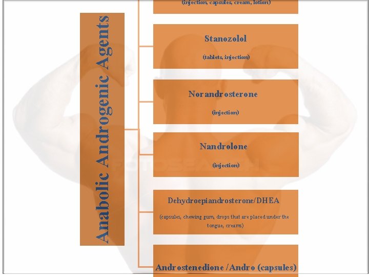 Anabolic Androgenic Agents (injection, capsules, cream, lotion) Stanozolol (tablets, injection) Norandrosterone (injection) Nandrolone (injection)