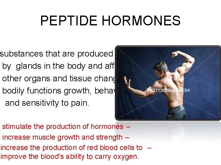 PEPTIDE HORMONES substances that are produced • by glands in the body and affect