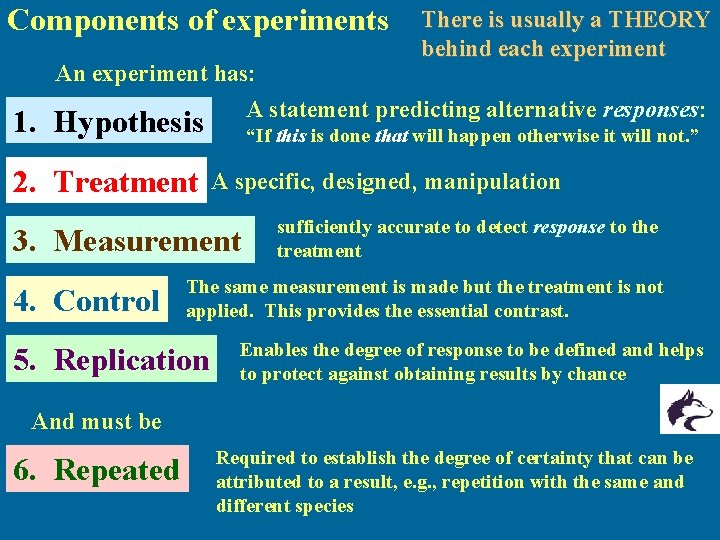 Components of experiments There is usually a THEORY behind each experiment An experiment has: