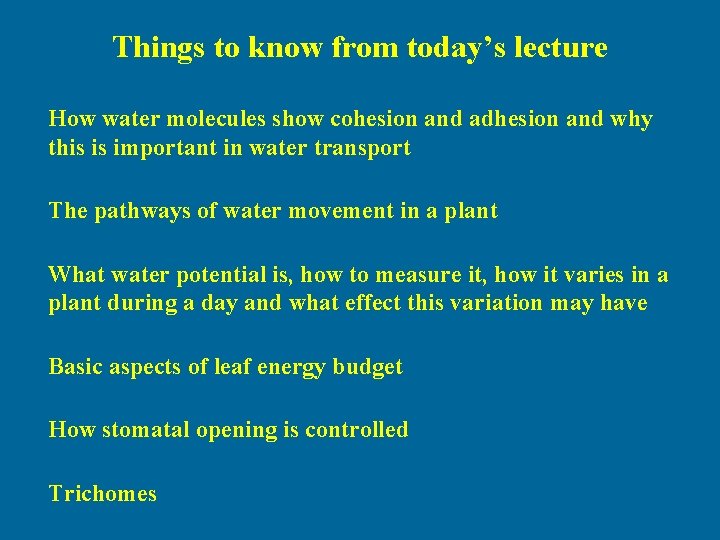 Things to know from today’s lecture How water molecules show cohesion and adhesion and