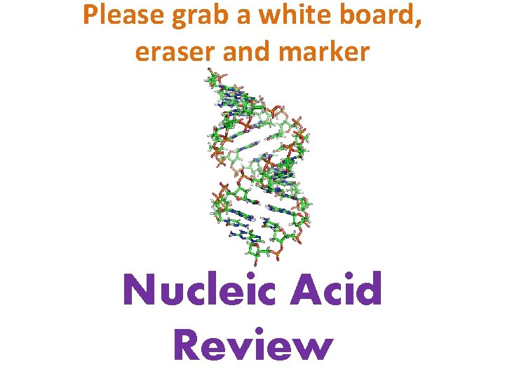 Please grab a white board, eraser and marker Nucleic Acid Review 
