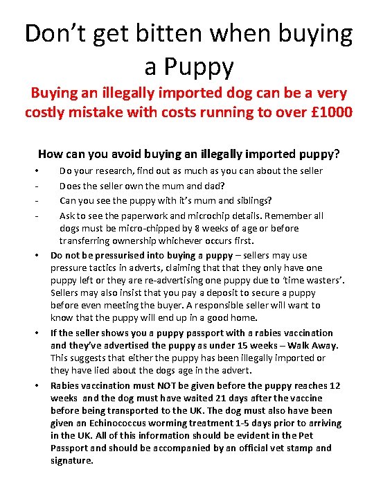 Don’t get bitten when buying a Puppy Buying an illegally imported dog can be