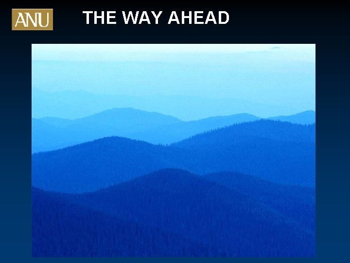 THE WAY AHEAD 