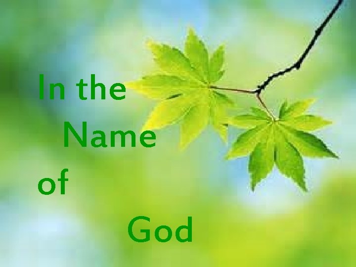 In the Name of God In the Name of God